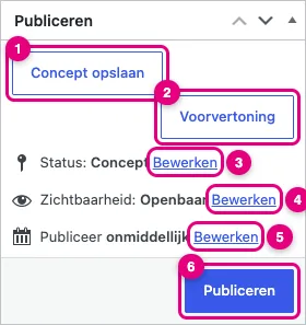 Het vak Publiceren met de knoppen Concept opslaan, Voorvertoning, de Bewerken-links bij status, zichtbaarheid en datum, en de knop Publiceren