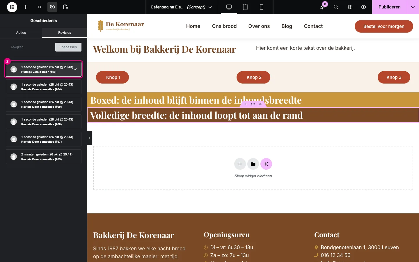Het tabblad Revisies met een lijst van opgeslagen versies en de knoppen Afwijzen en Toepassen
