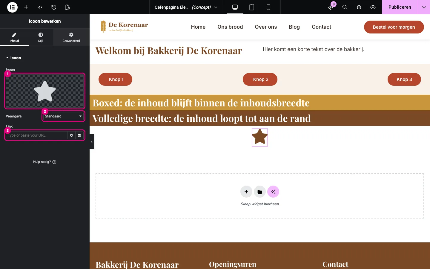 De widget Icoon met het icoonvoorbeeld, Weergave en Link gemarkeerd