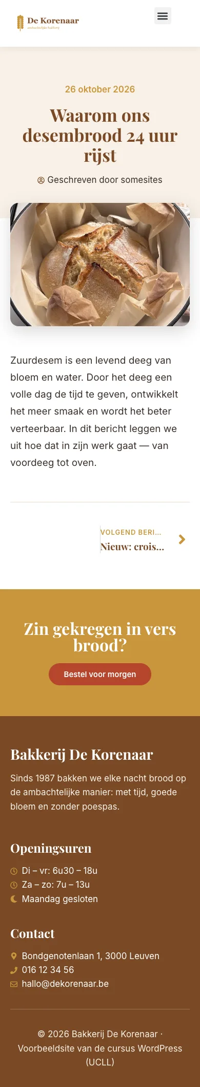 Hetzelfde type blogbericht op gsm: titel, foto en tekst onder elkaar, leesbaar en zonder horizontaal scrollen