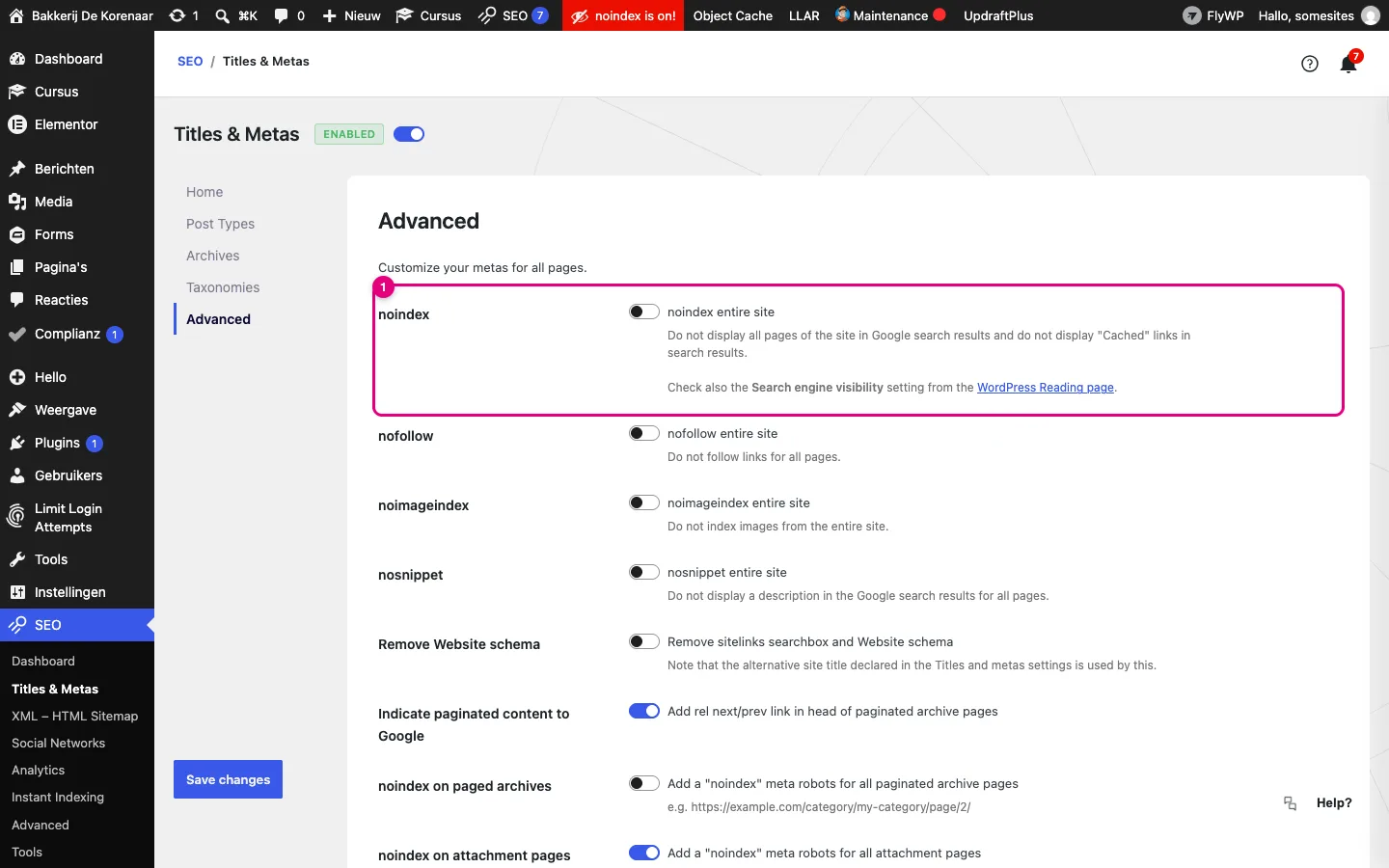 Titles en Metas, tabblad Advanced, met de schakelaar noindex entire site gemarkeerd