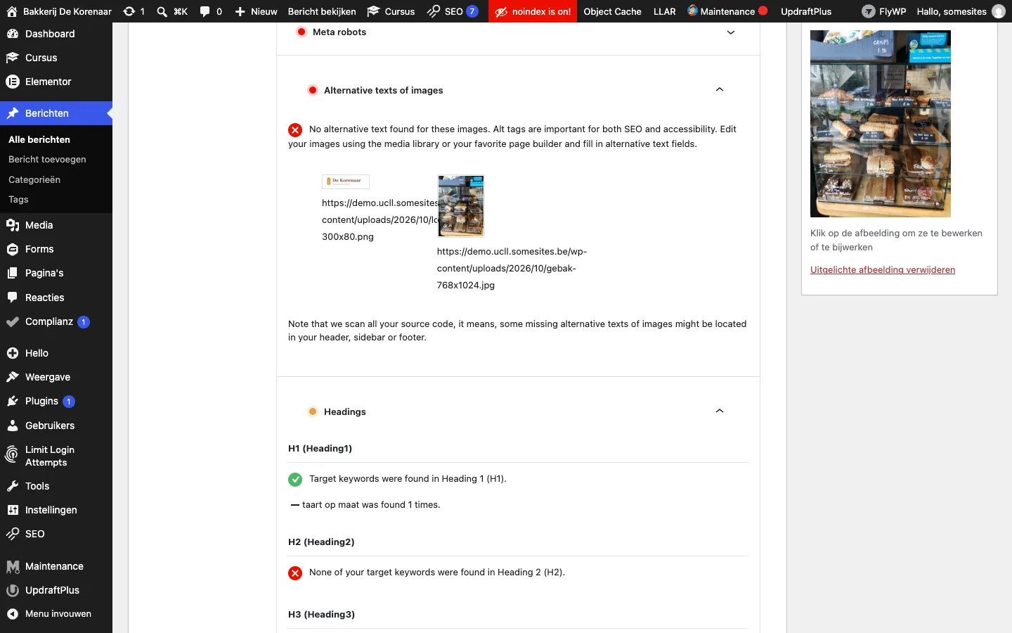 Twee opengeklapte controles van de Content Analysis met uitleg over alt-teksten en koppen