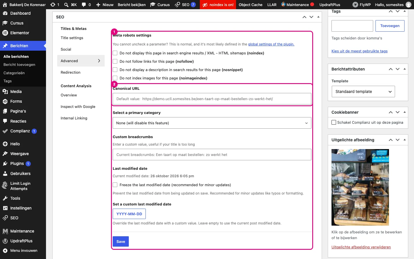 Het onderdeel Advanced van de SEO-metabox met de vinkjes noindex, nofollow, nosnippet en noimageindex en het veld Canonical URL