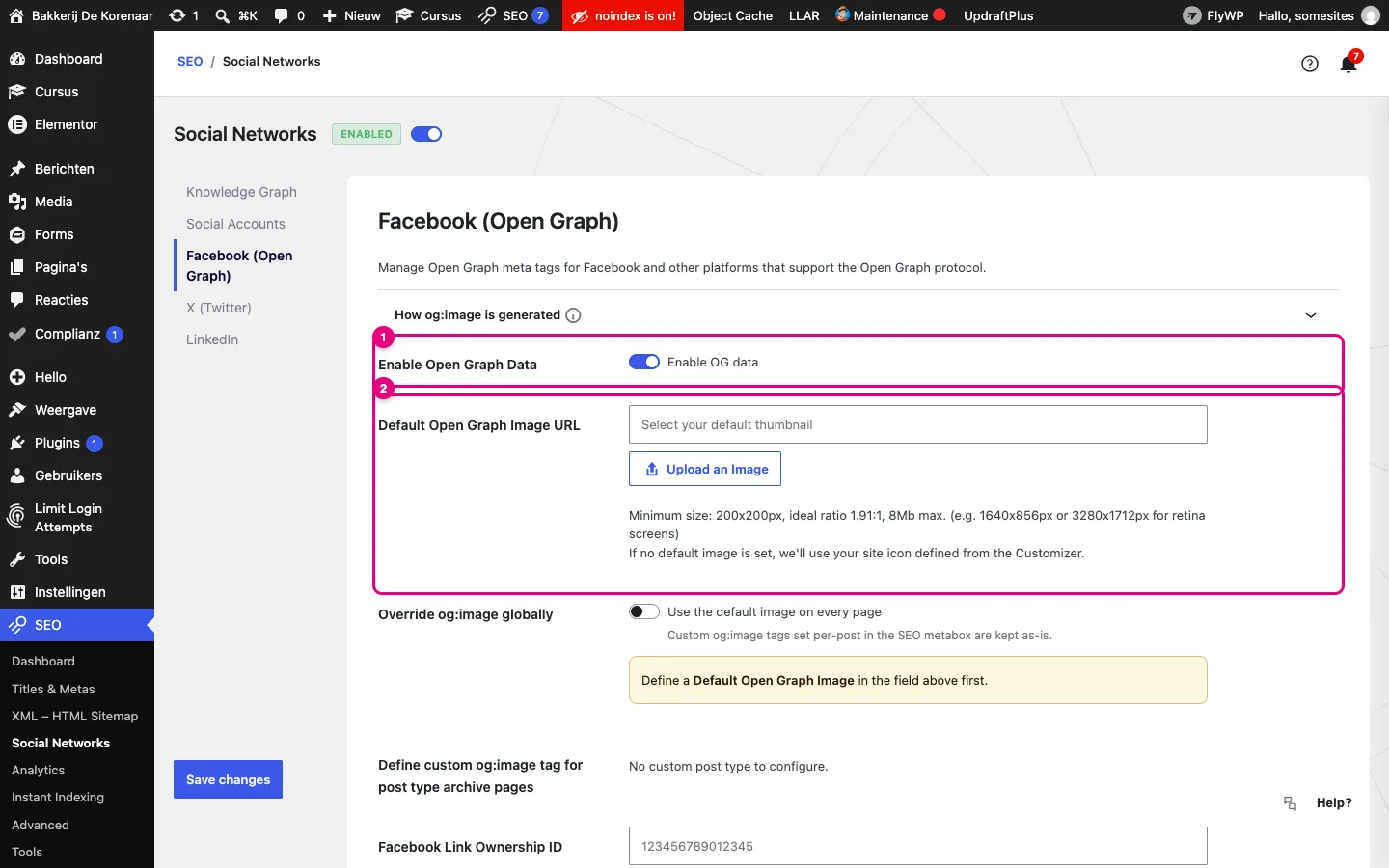Social Networks, tabblad Facebook Open Graph, met Enable Open Graph Data en Default Open Graph Image URL gemarkeerd