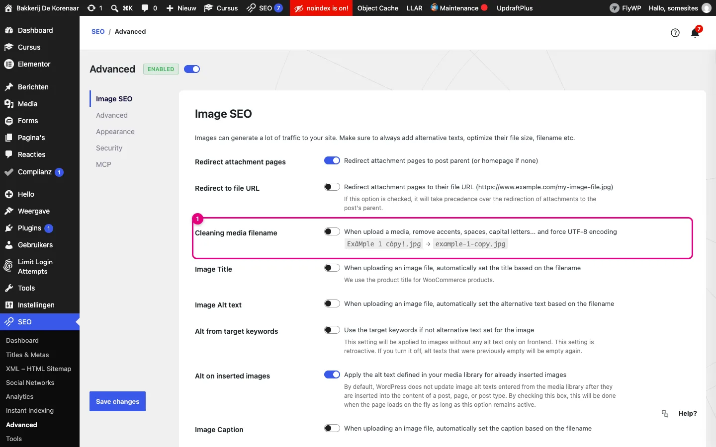 SEO, Advanced, tabblad Image SEO, met de instelling Cleaning media filename gemarkeerd