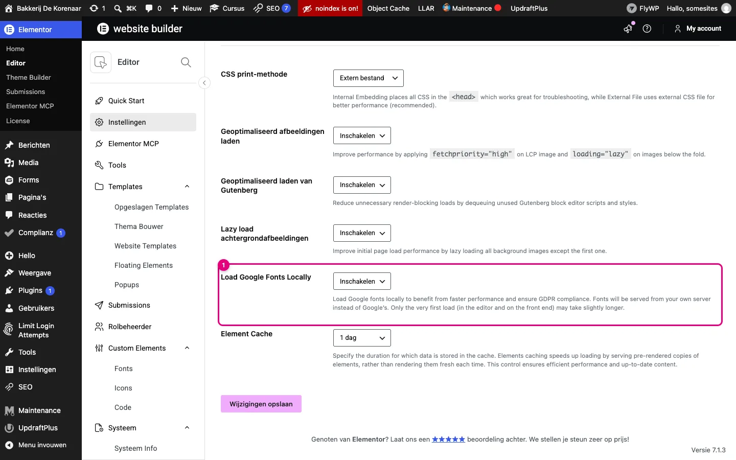 Elementor-instellingen, tabblad Performantie, met Load Google Fonts Locally op Inschakelen